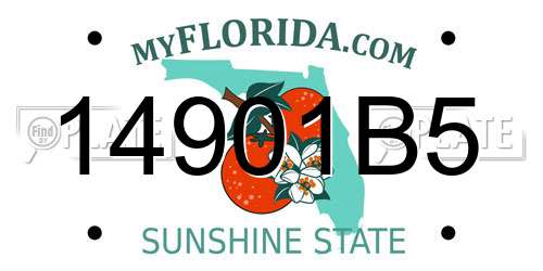 14901B5 Florida License Plate