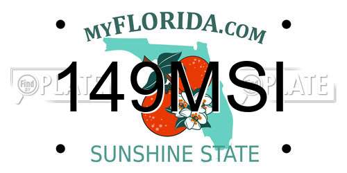 149MSI Florida License Plate