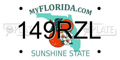 149RZL Florida License Plate