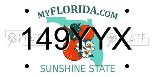 149YYX Florida License Plate