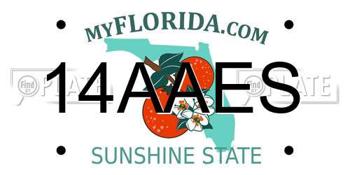 14AAES Florida License Plate
