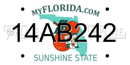 14AB242 Florida License Plate