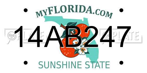 14AB247 Florida License Plate