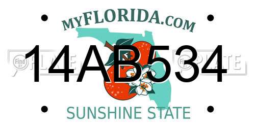 14AB534 Florida License Plate