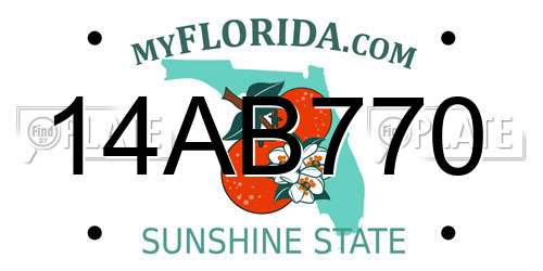 14AB770 Florida License Plate