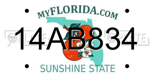 14AB834 Florida License Plate