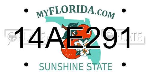 14AE291 Florida License Plate