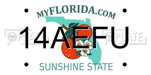 14AEFU Florida License Plate