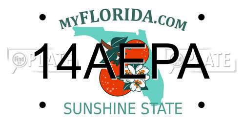 14AEPA Florida License Plate