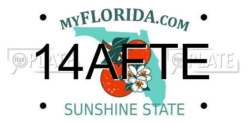 14AFTE Florida License Plate