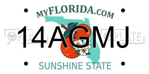 14AGMJ Florida License Plate
