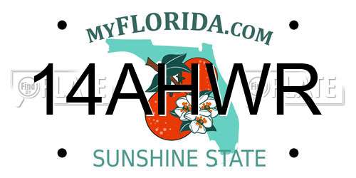 14AHWR Florida License Plate