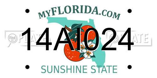 14AI024 Florida License Plate