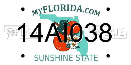 14AI038 Florida License Plate