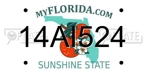 14AI524 Florida License Plate