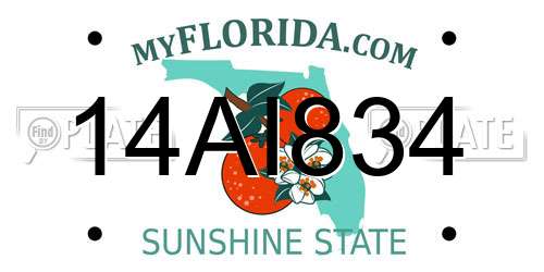 14AI834 Florida License Plate