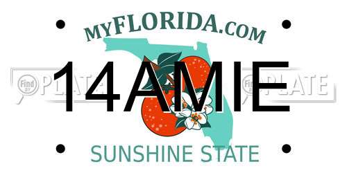 14AMIE Florida License Plate