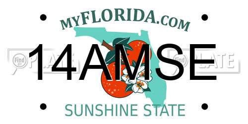 14AMSE Florida License Plate