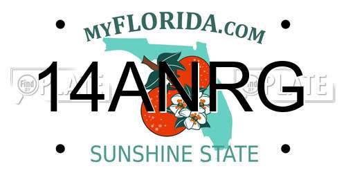 14ANRG Florida License Plate