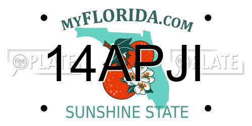 14APJI Florida License Plate