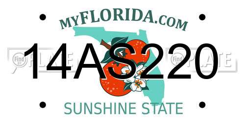 14AS220 Florida License Plate