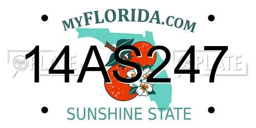 14AS247 Florida License Plate