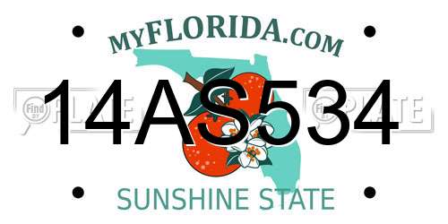 14AS534 Florida License Plate