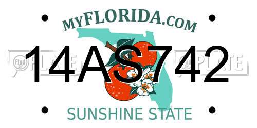 14AS742 Florida License Plate