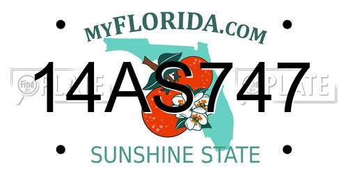14AS747 Florida License Plate