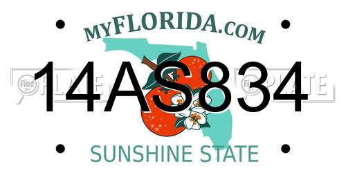 14AS834 Florida License Plate
