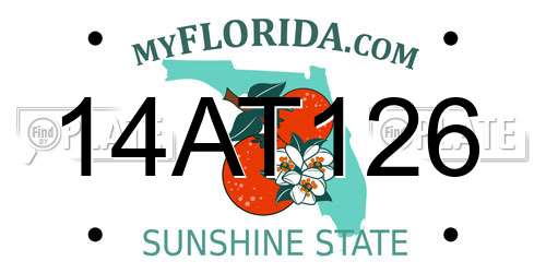 14AT126 Florida License Plate