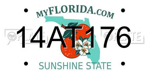 14AT176 Florida License Plate