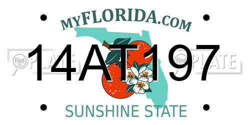 14AT197 Florida License Plate