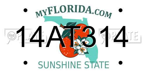 14AT314 Florida License Plate