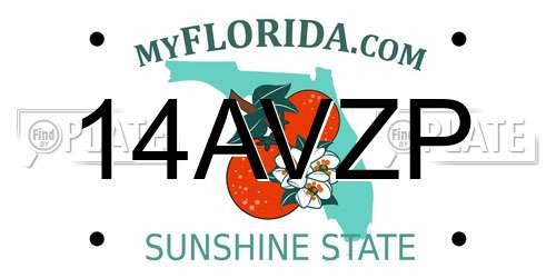 14AVZP Florida License Plate