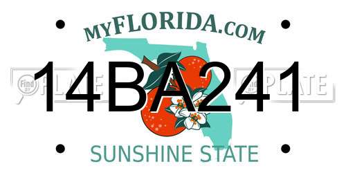 14BA241 Florida License Plate