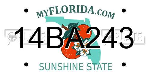 14BA243 Florida License Plate