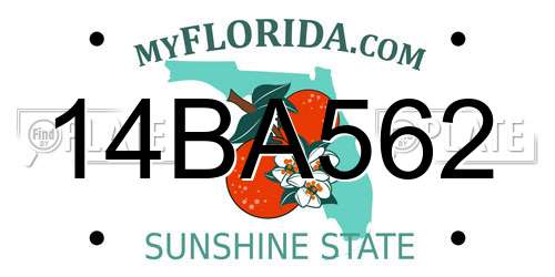 14BA562 Florida License Plate