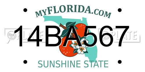 14BA567 Florida License Plate