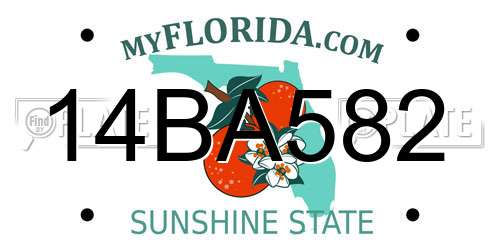 14BA582 Florida License Plate