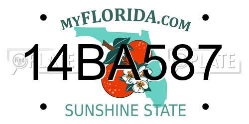 14BA587 Florida License Plate