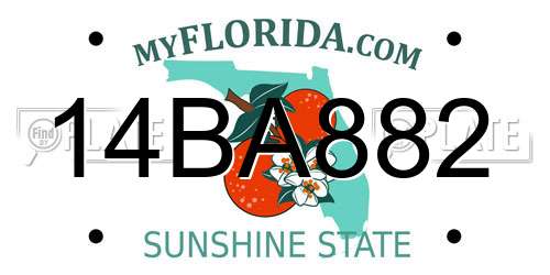 14BA882 Florida License Plate