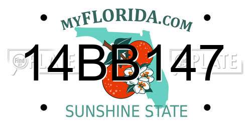 14BB147 Florida License Plate