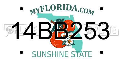 14BB253 Florida License Plate
