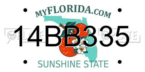 14BB335 Florida License Plate