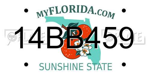 14BB459 Florida License Plate