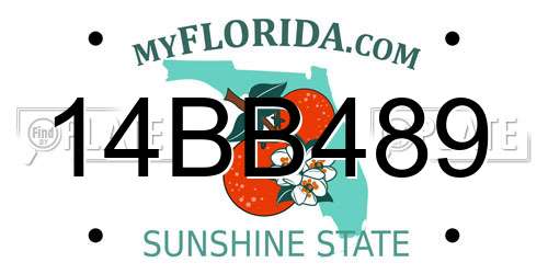14BB489 Florida License Plate