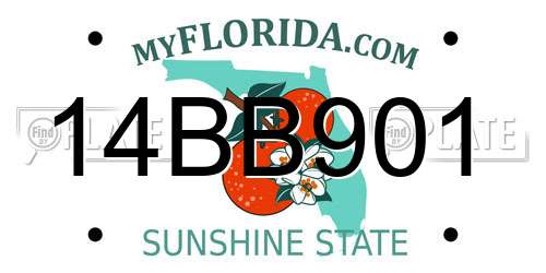 14BB901 Florida License Plate