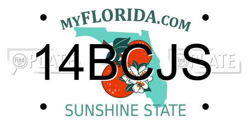 14BCJS Florida License Plate