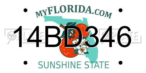14BD346 Florida License Plate